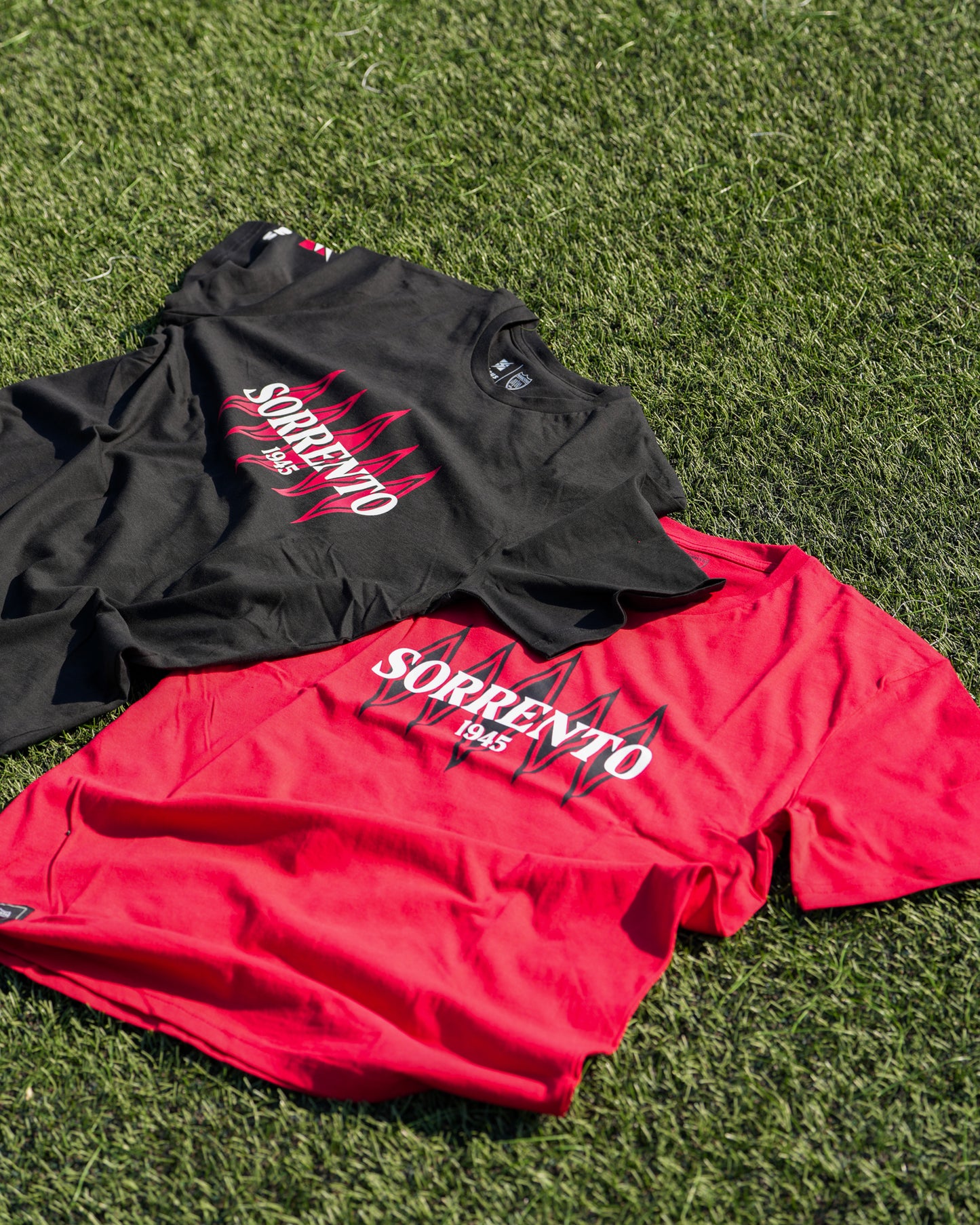 PROMO Festa del Papà